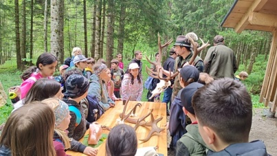 Walderlebnis der 3. Klassen